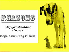 5 reasons why you shouldn’t choose a large consulting firm for IT services